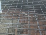Agricultural Concrete Job - Rows of Rebar